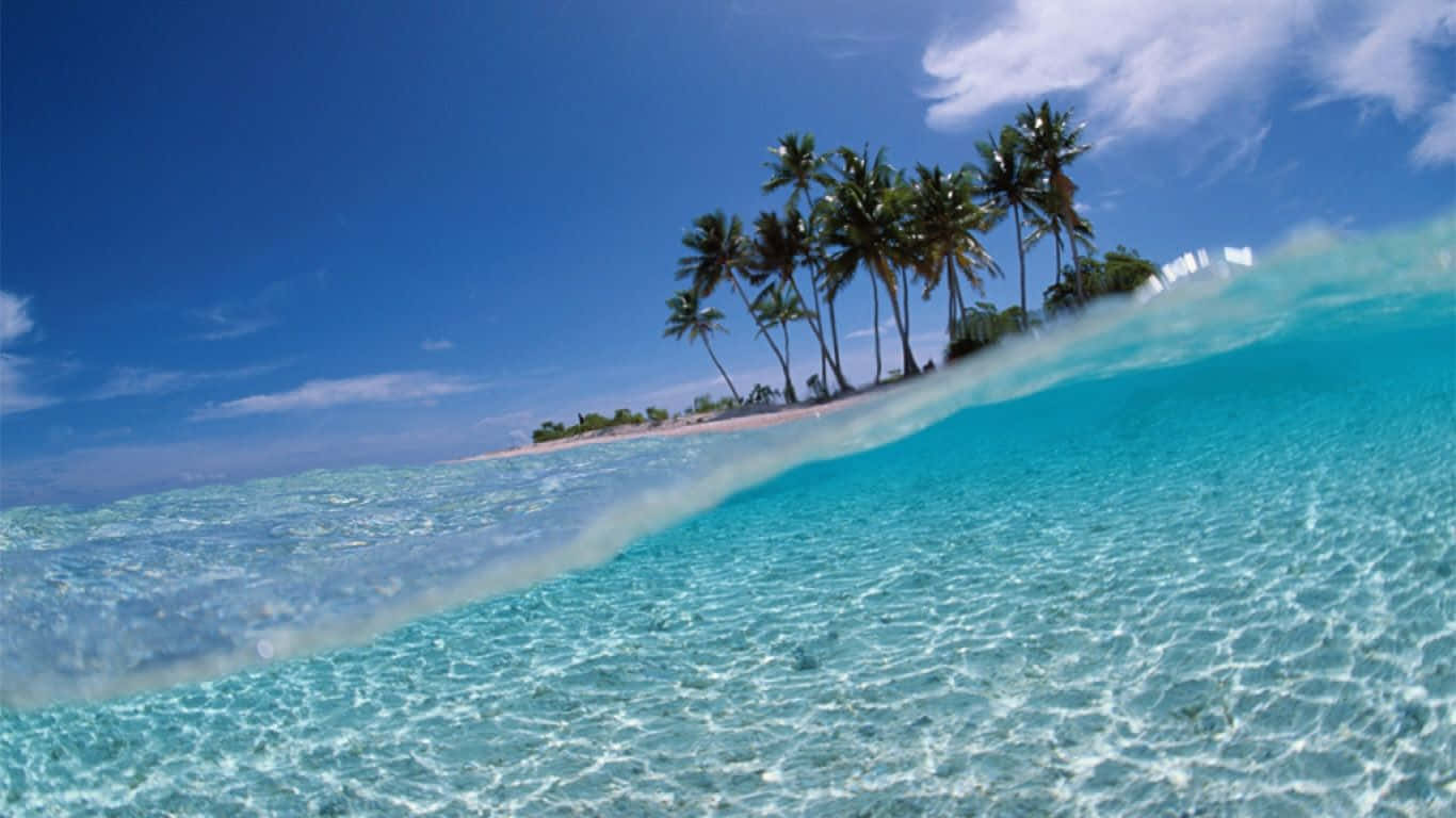 Tranquil Bahamas Beach Paradise Wallpaper