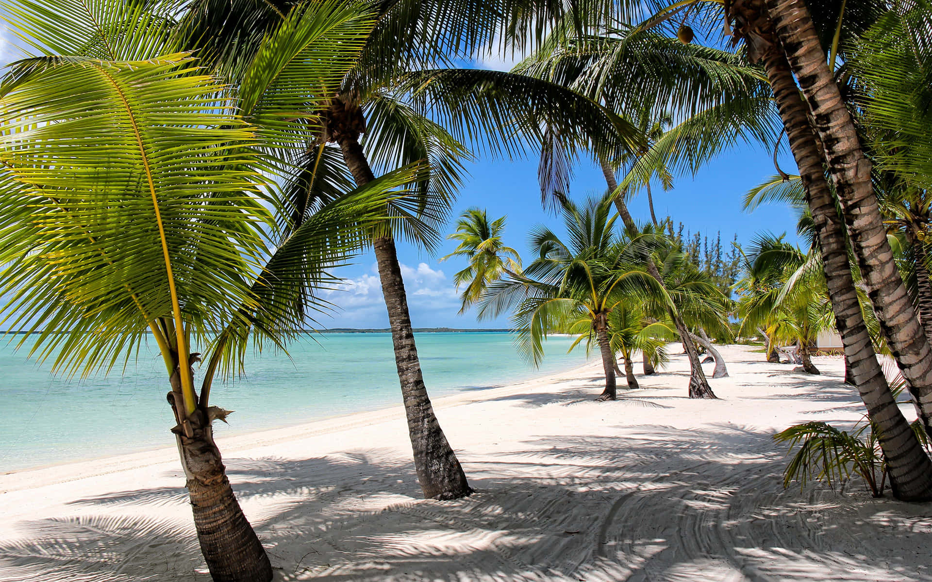 Stunning Bahamas Beach Awaits You Wallpaper