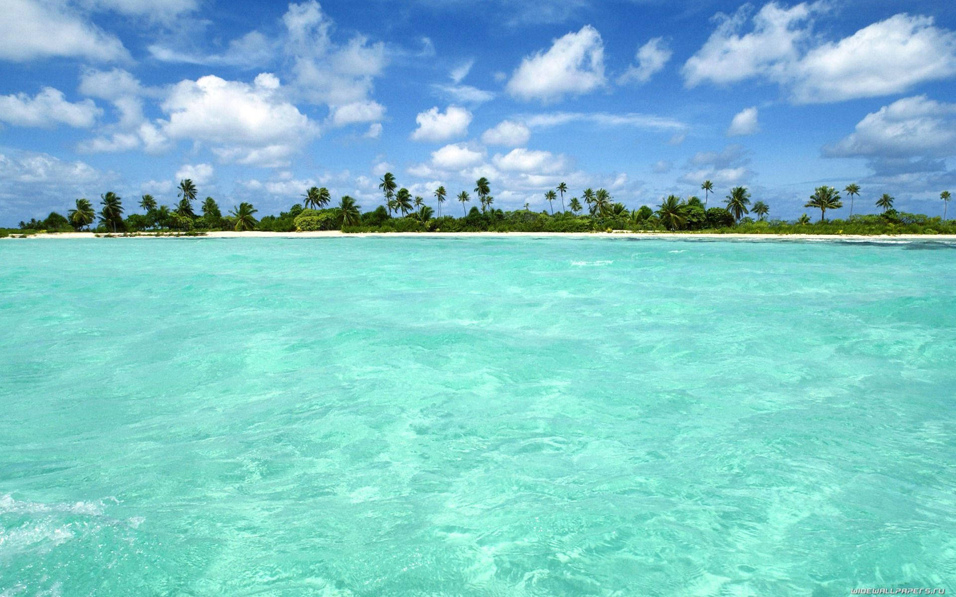 Bahamas Blue And Clear Water Wallpaper