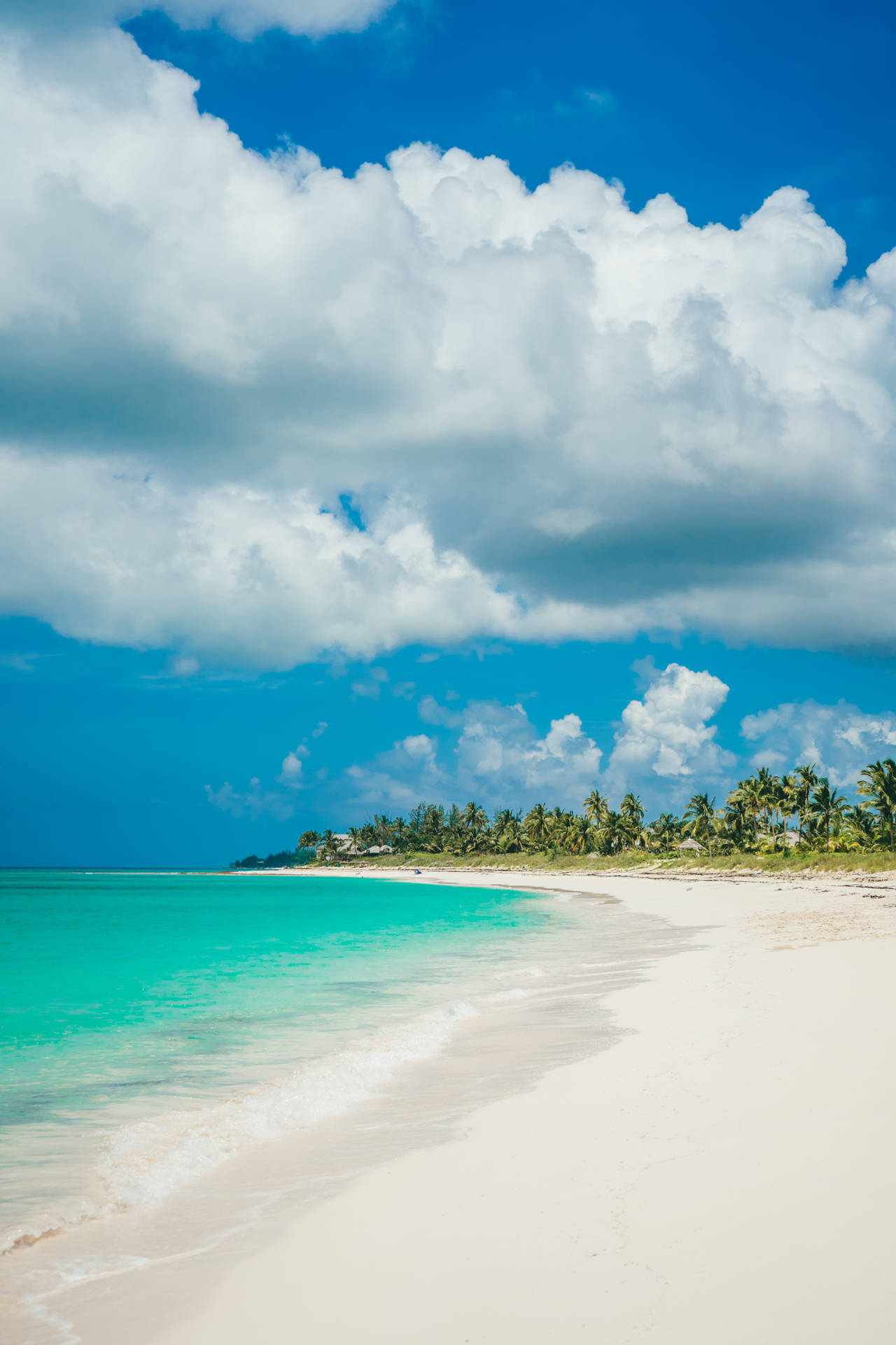 Spiaggia Di Sabbia Bianca Delle Bahamas Sfondo