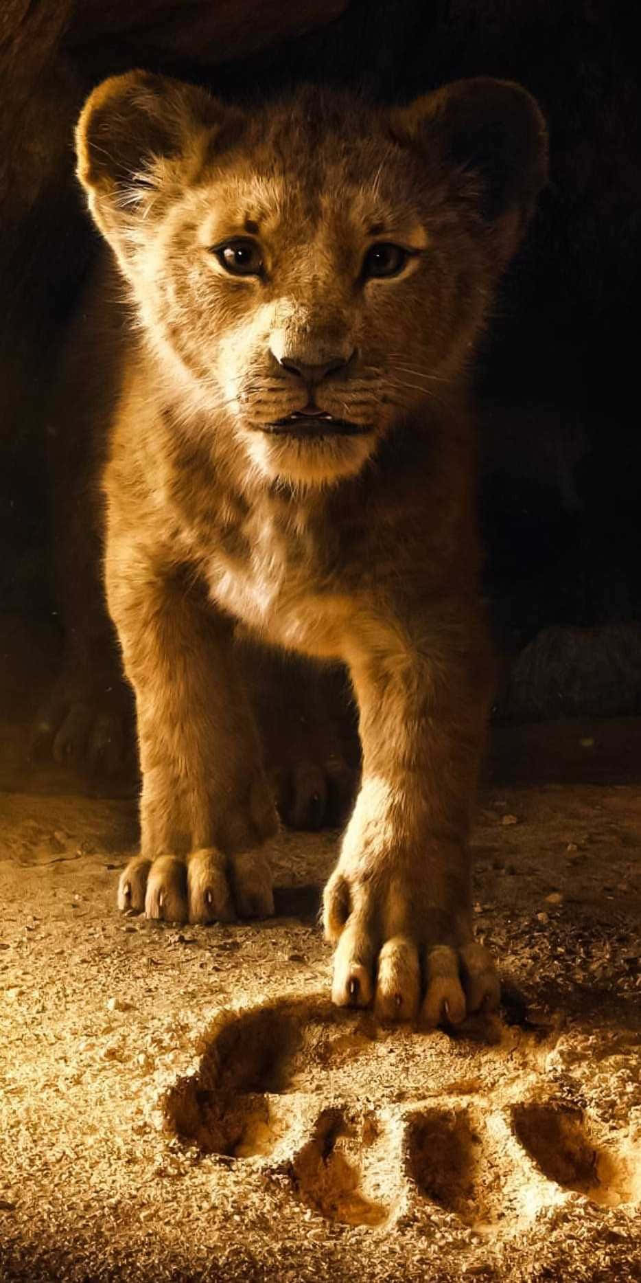 Bakgrundmed En Baby Lejon