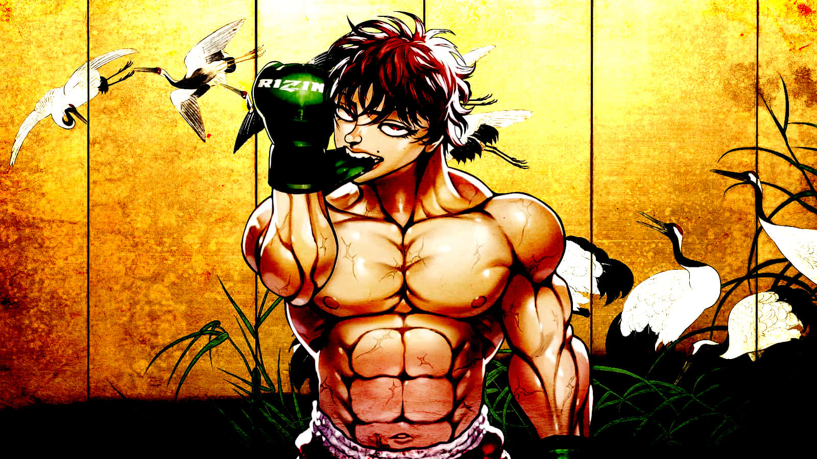 Baki The Grappler Dalam Sikap Kuat Wallpaper