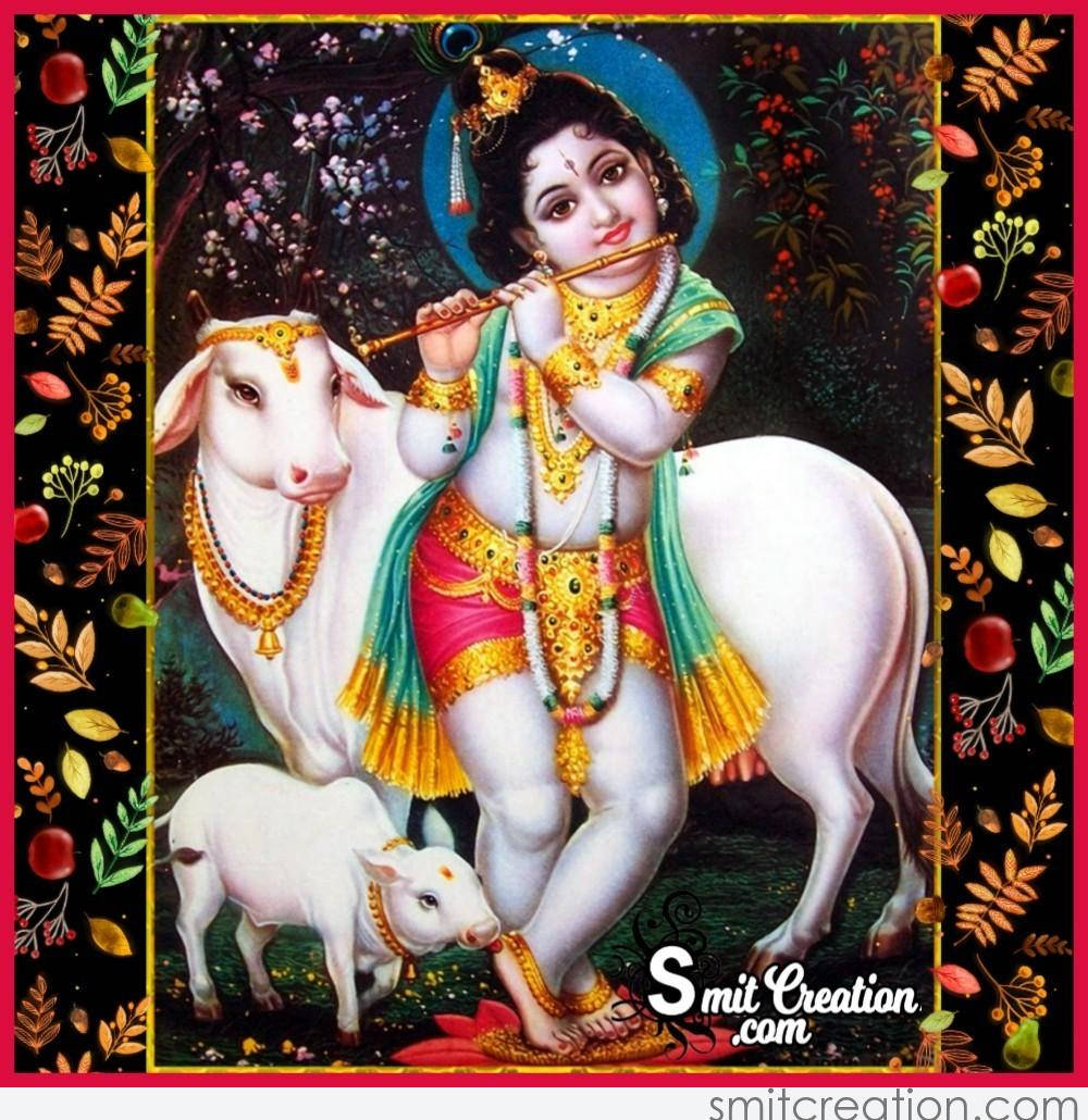 Bal Krishna spiller fløjte med køer står omkring Wallpaper