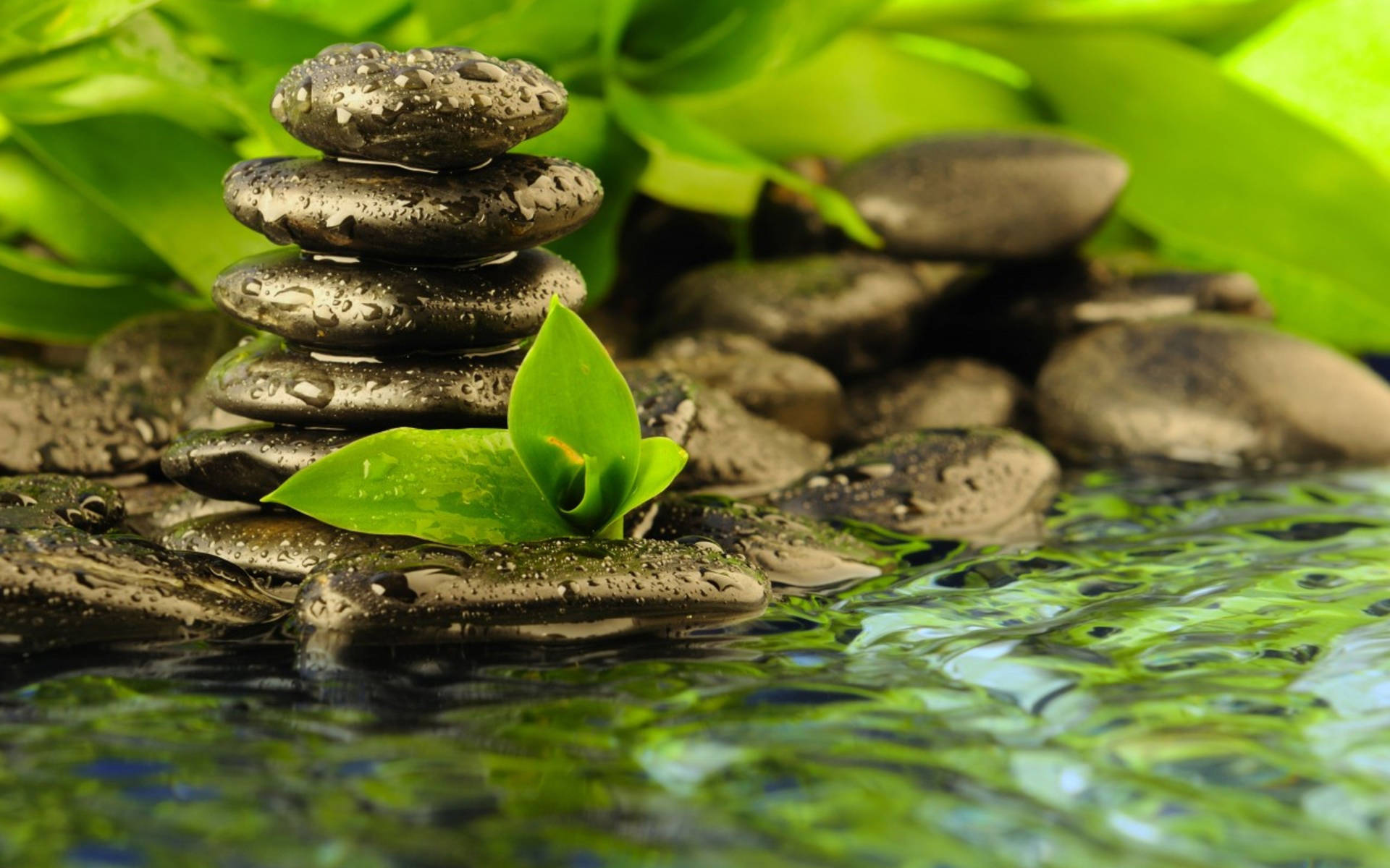 Balanced Zen Stones With Leaves Therapy Wallpaper