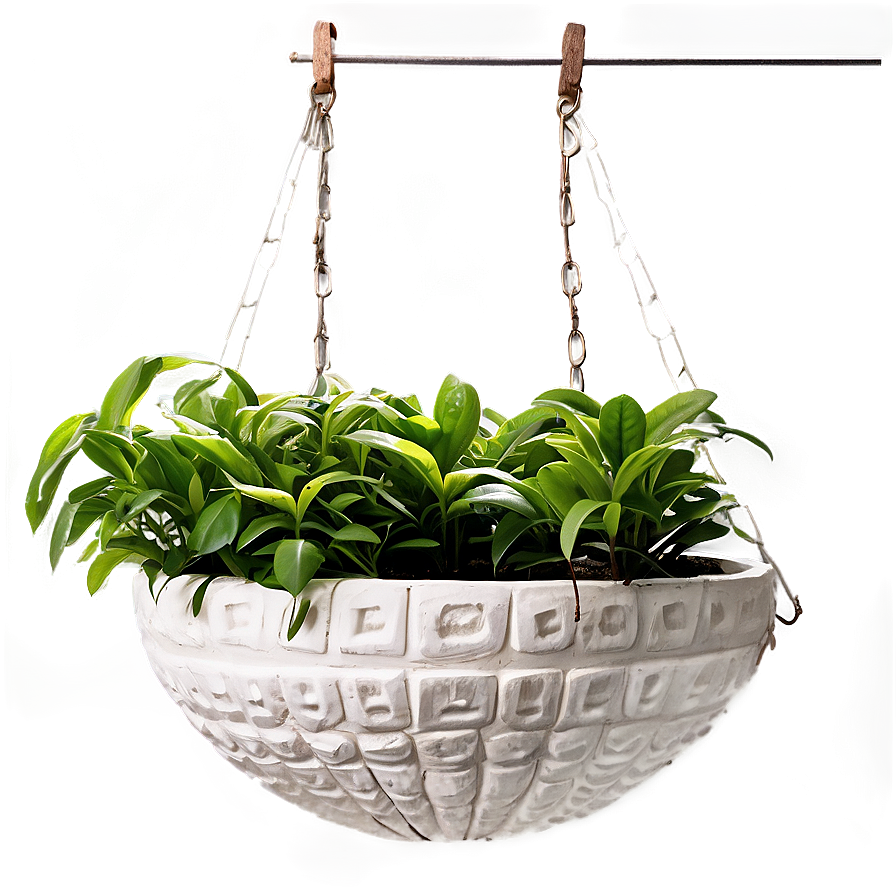 Balcony Hanging Plant Png 32 PNG