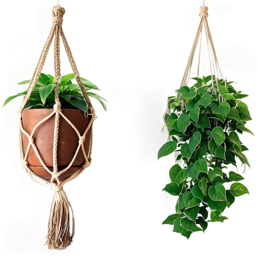 Balcony Hanging Plant Png Fqm PNG