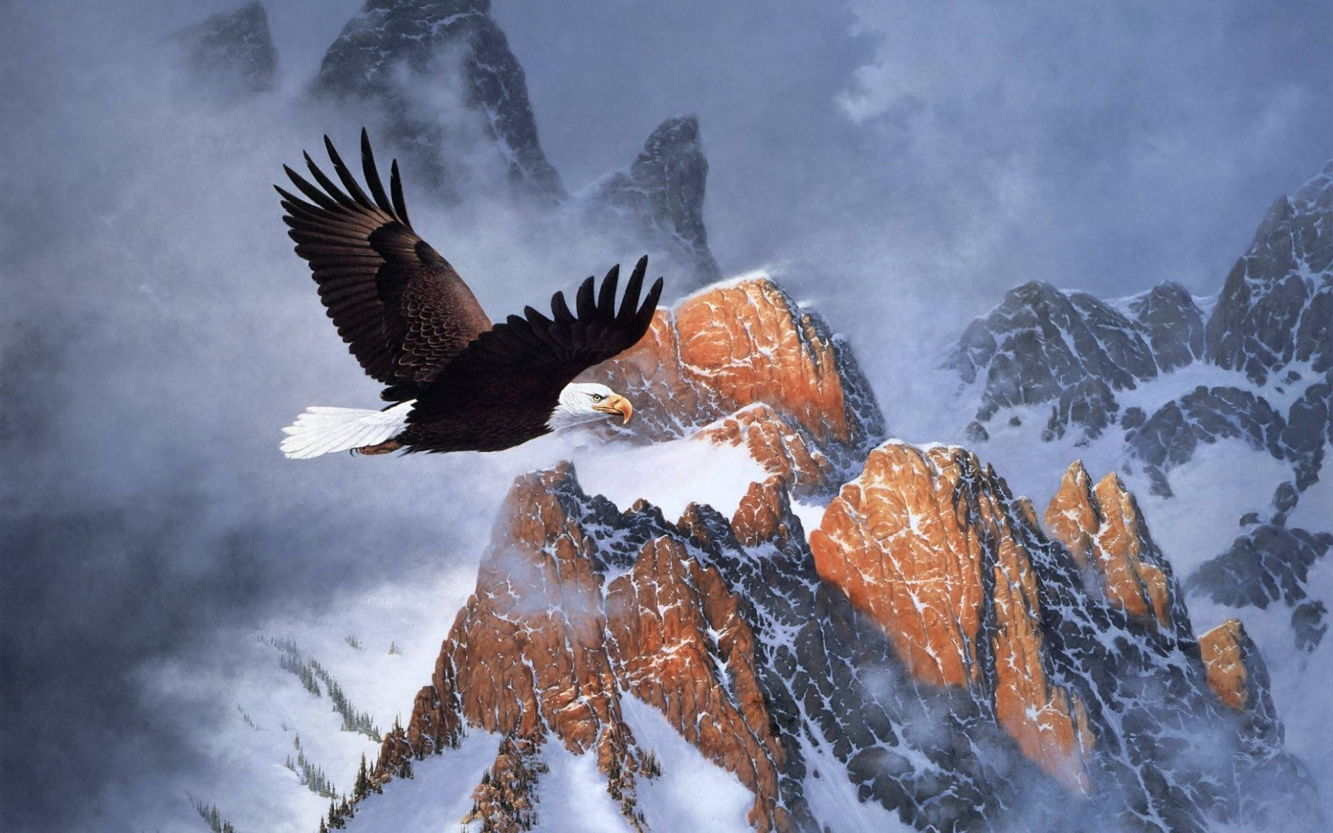 Bald Eagle Over Snedækket Bjerg Wallpaper