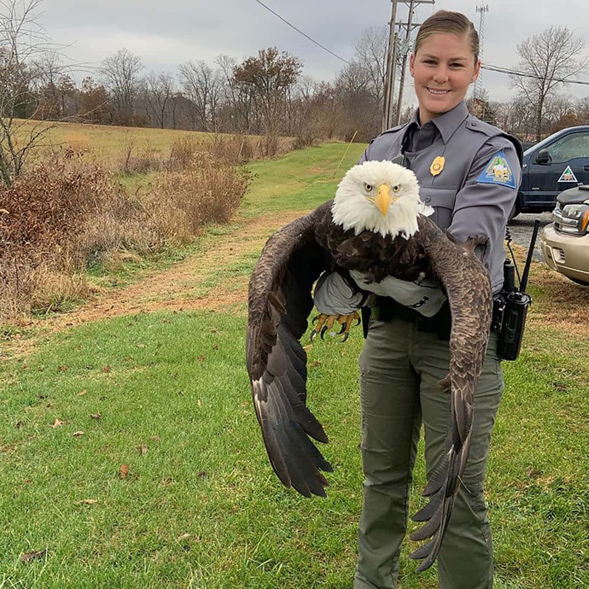 Police Bald Eagle Pictures