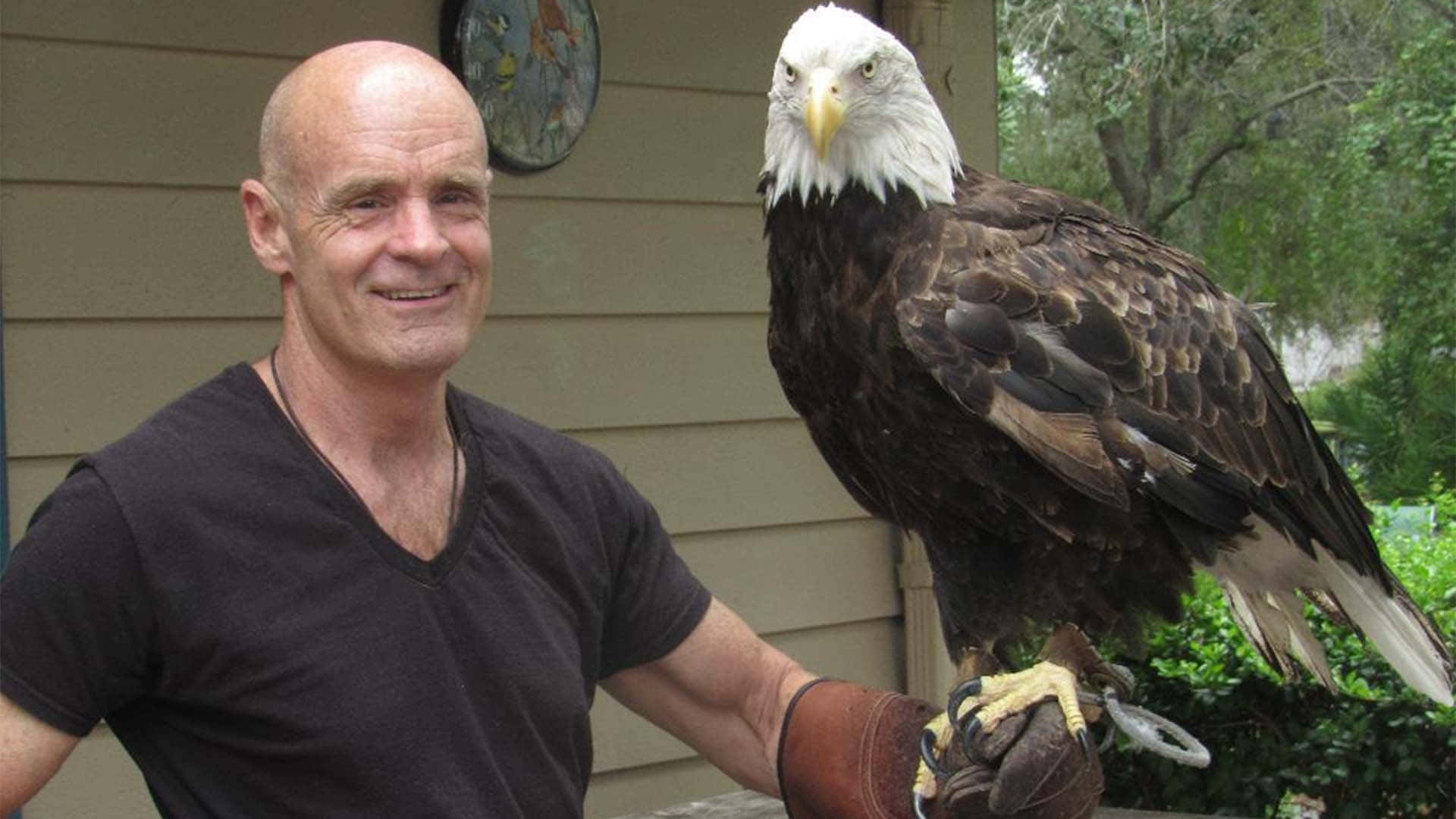 Bald Eagle Trainer Pictures