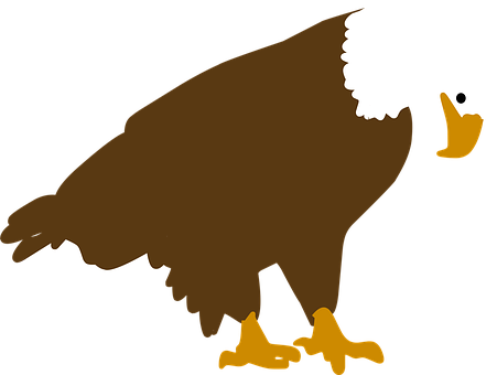 Bald Eagle Silhouette PNG