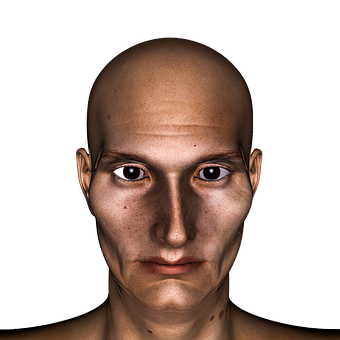 Bald Headed Man Portrait PNG