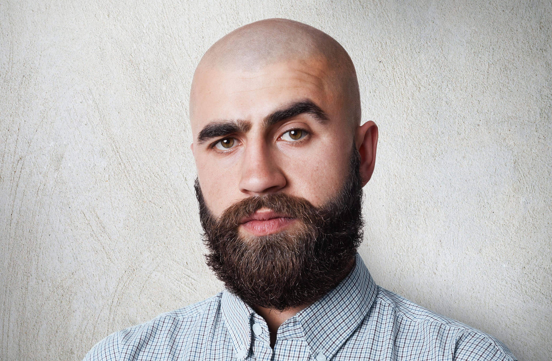 Bald Man With Thick Beard Picture