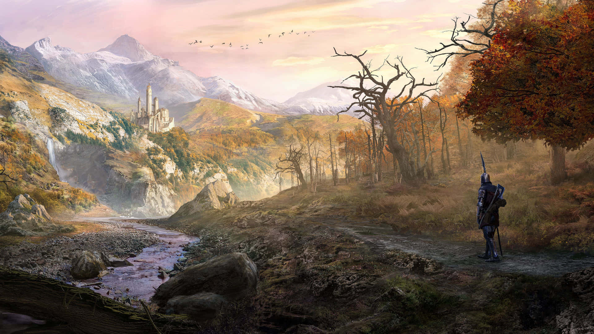 Baldurs Gate3 Warrior Overlooking Valley Wallpaper