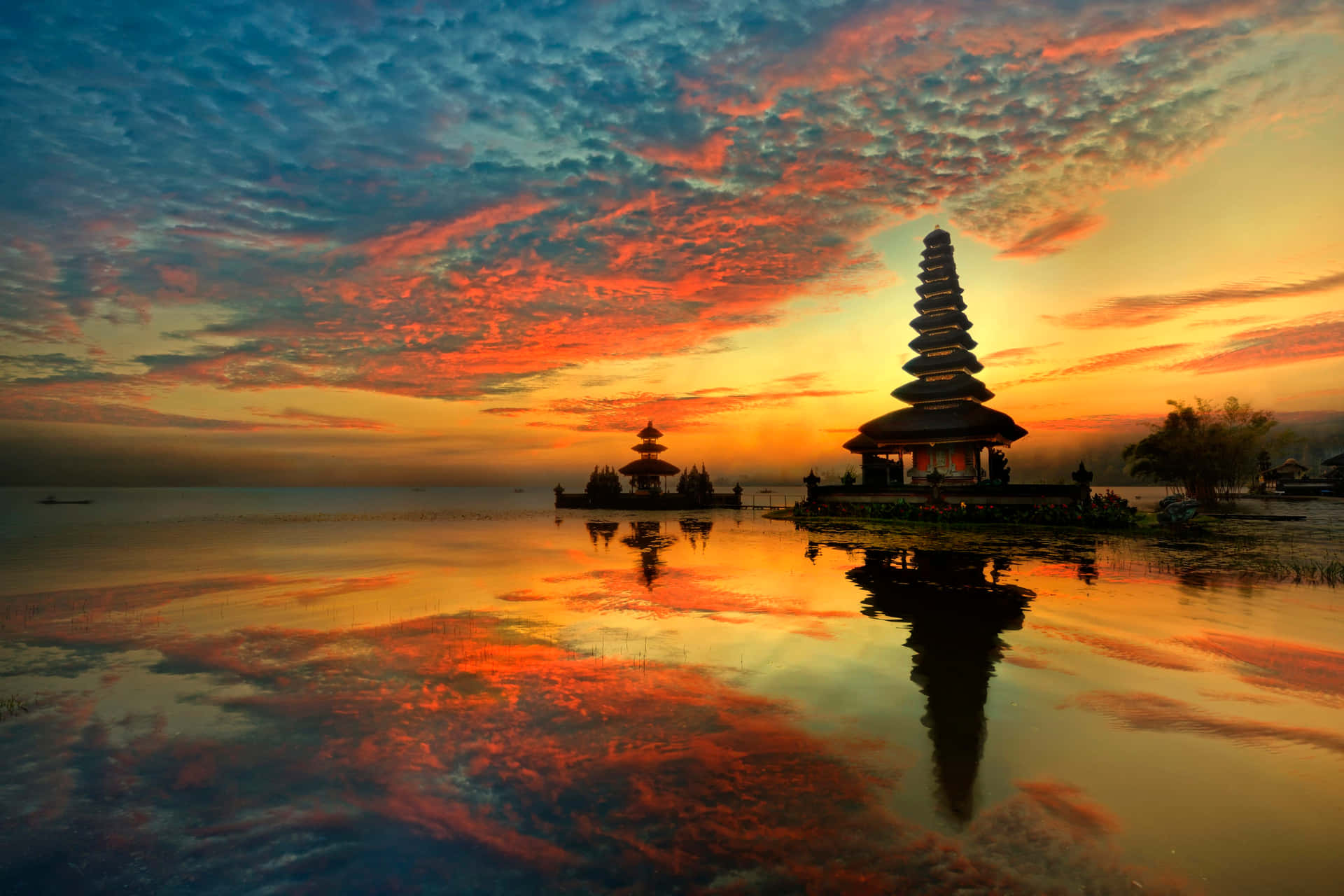 Taen Paus Från Verkligheten I Den Vackra Paradiset Bali!