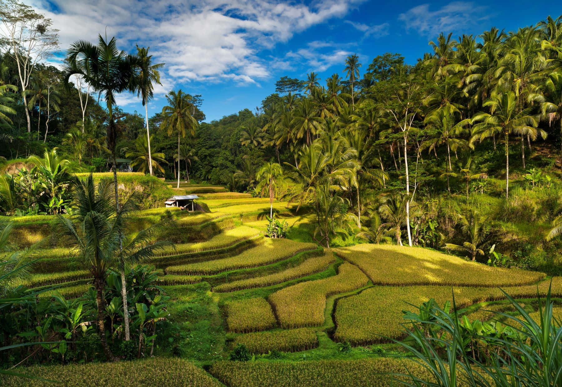 Nydden Fantastiske Udsigt Over Tanah Lot På Bali