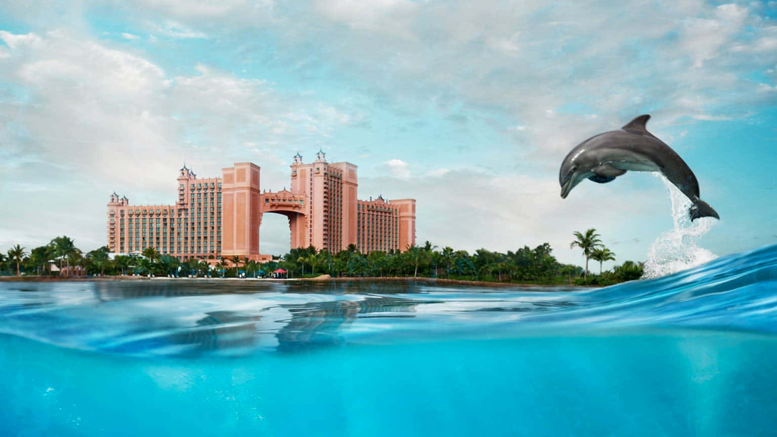 Ballenaen El Resort Atlantis Fondo de pantalla
