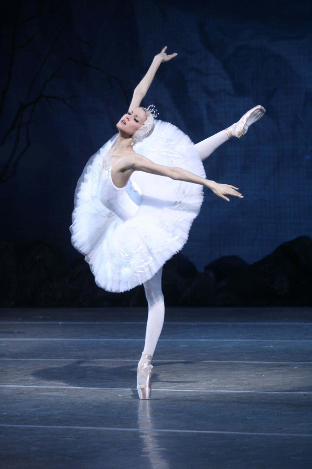 Ballerina Dancer Swan Pose Photography Wallpaper