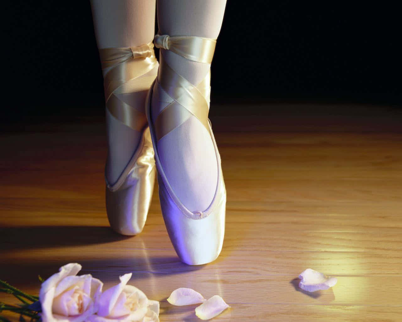 Ballet Shoes With Roses On The Floor