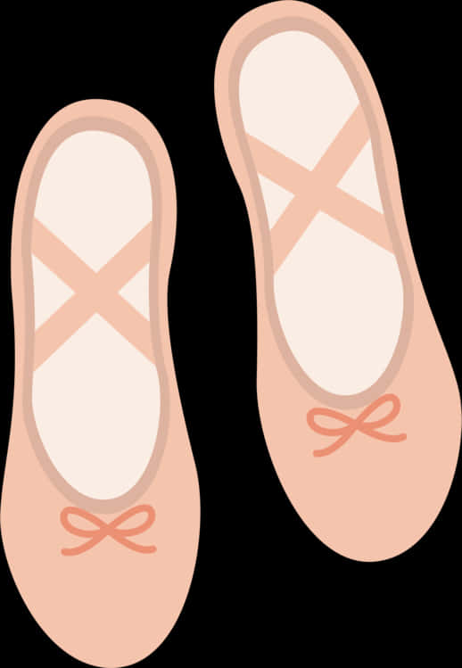 Ballet Flats Illustration PNG