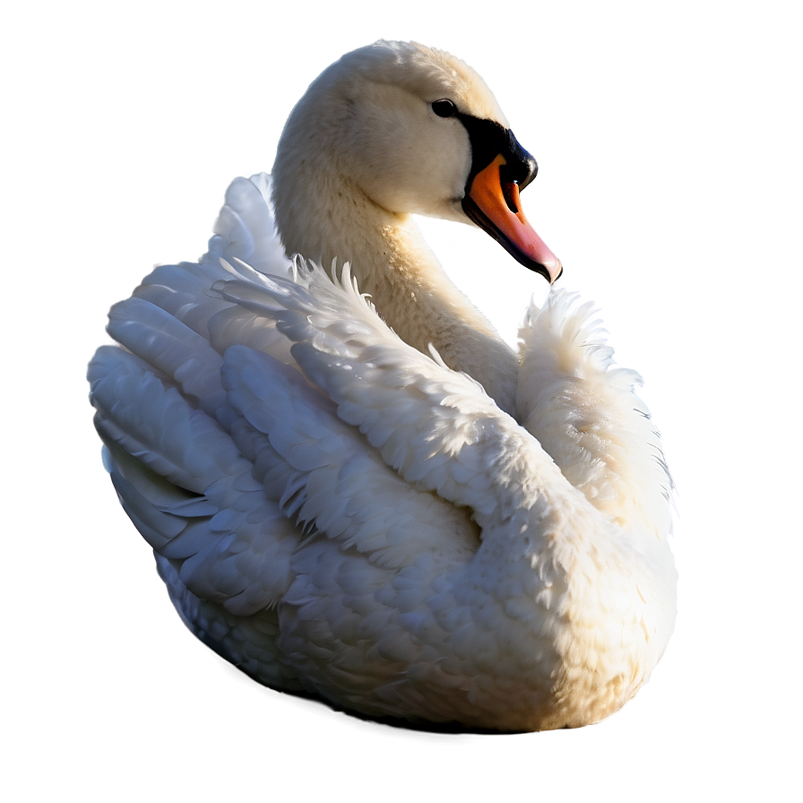 Ballet Inspired Swan Png 06262024 PNG