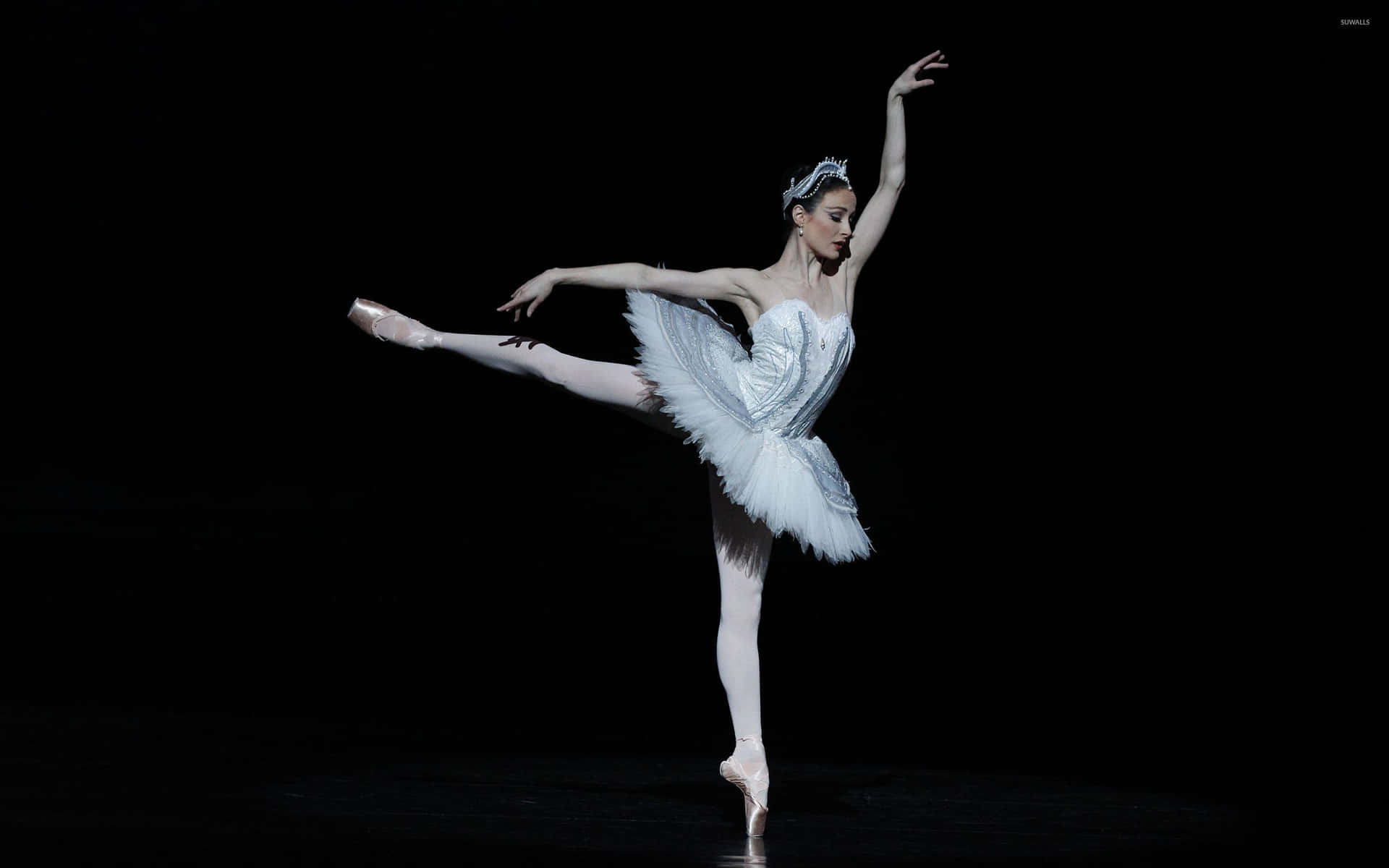 A Female Ballet Dancer In White Tutu And White Feathers Wallpaper
