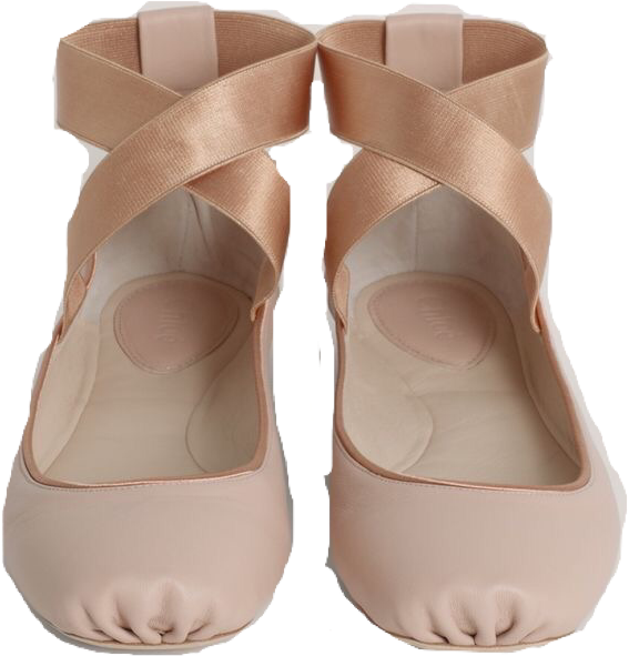 Ballet Pointe Shoes Pink Satin SVG