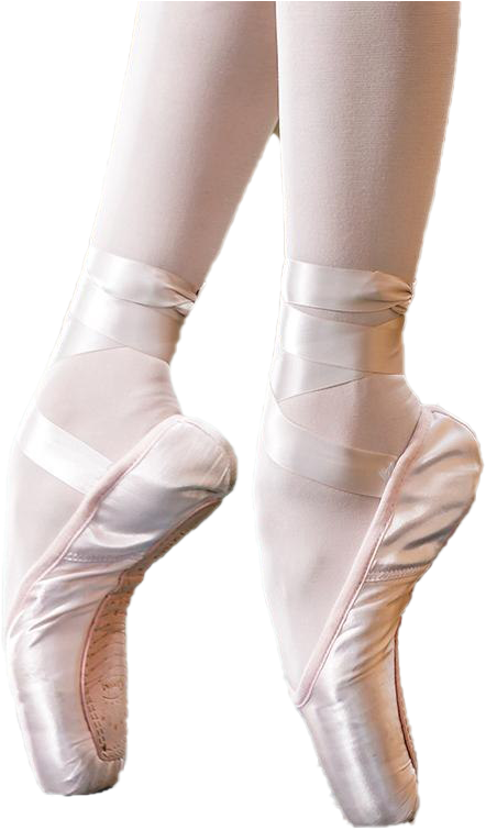 Ballet Pointe Shoesin Use SVG