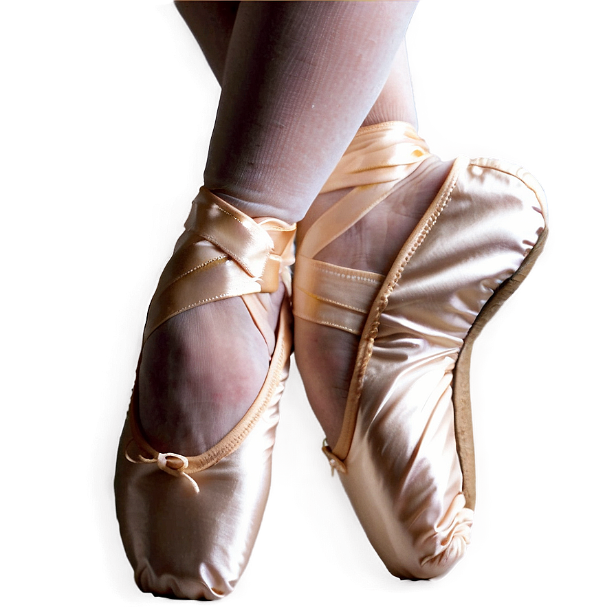 Ballet Shoes B PNG