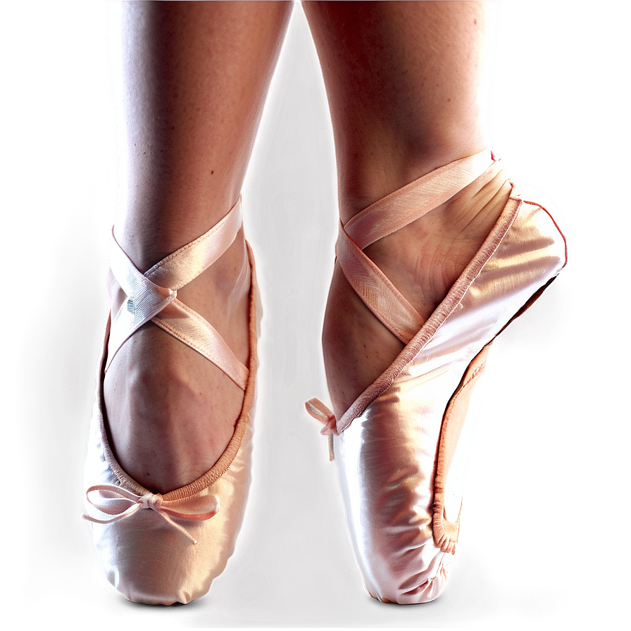 Ballet Shoes D PNG