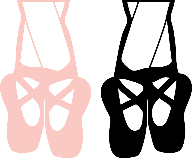 Ballet Shoes Pinkand Black Silhouette SVG