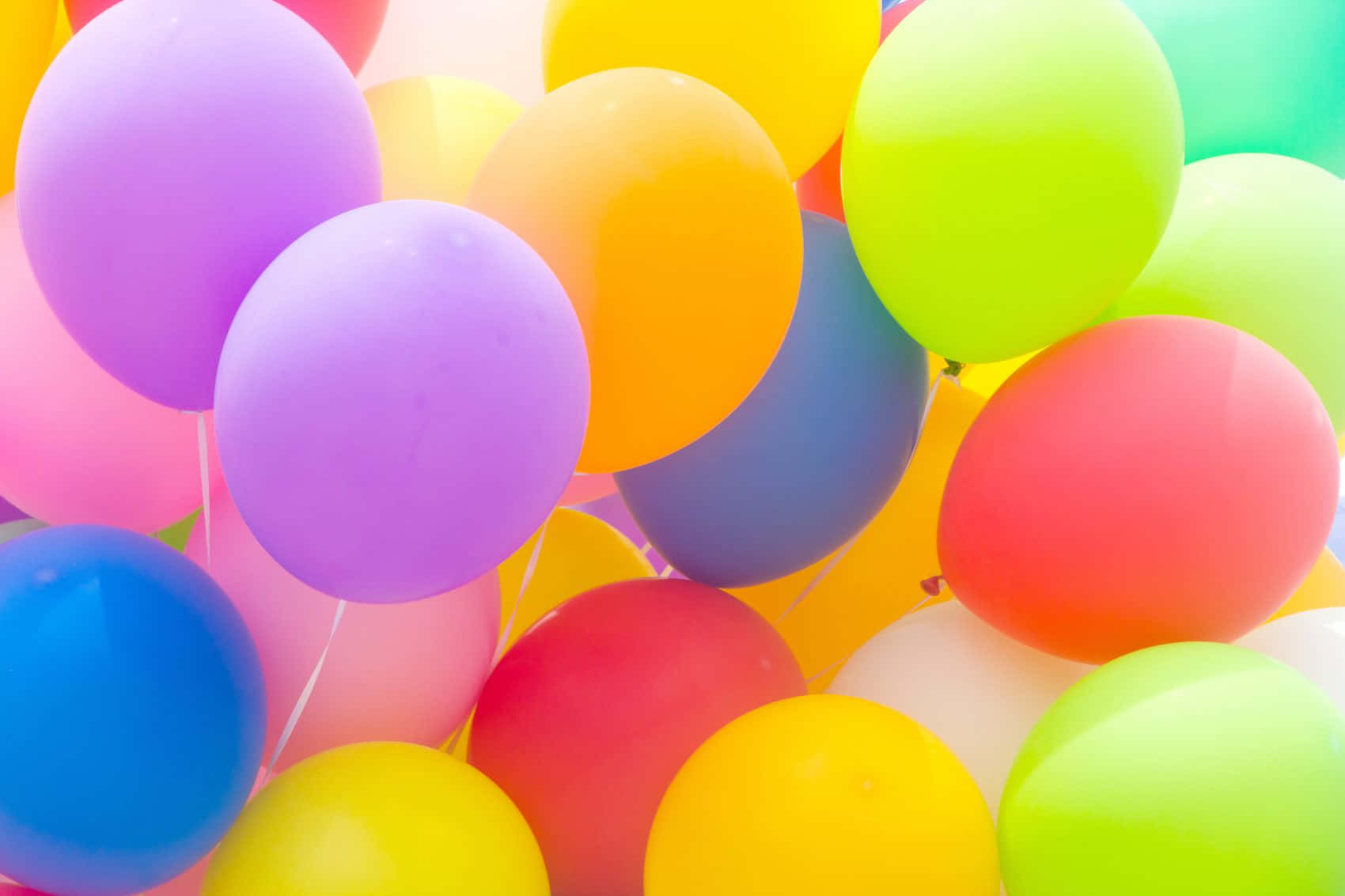 Colorful Balloons Are Floating In The Air