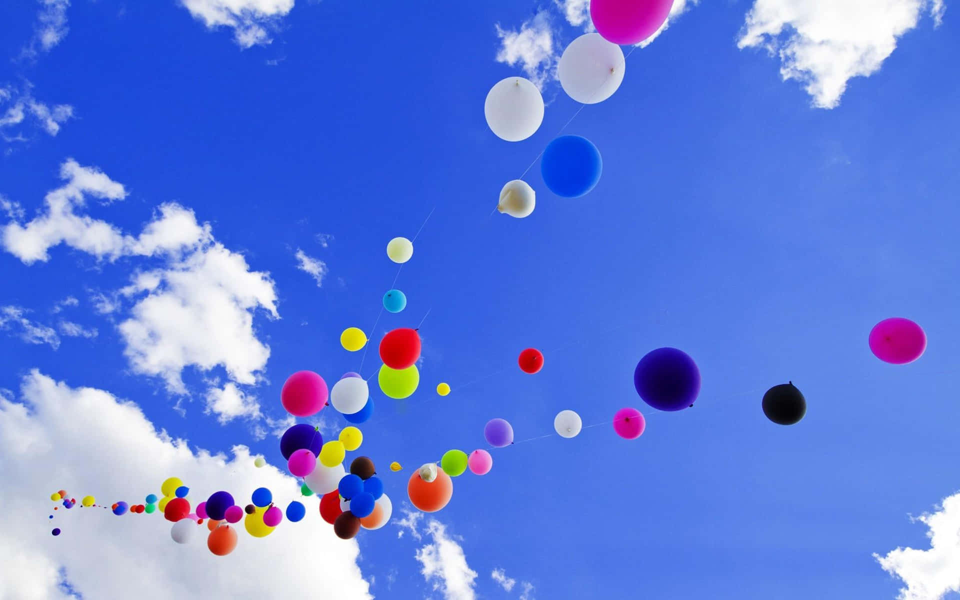 Wonderful colors and joy at a balloon gathering
