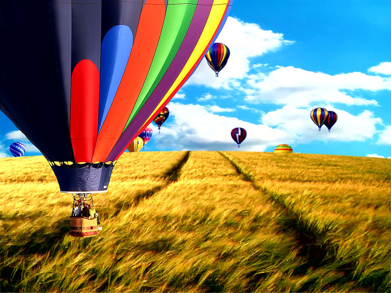 Balloner Baggrund Hot Air Balloner Flyvende I Et Felt Under En Blå Himmel.