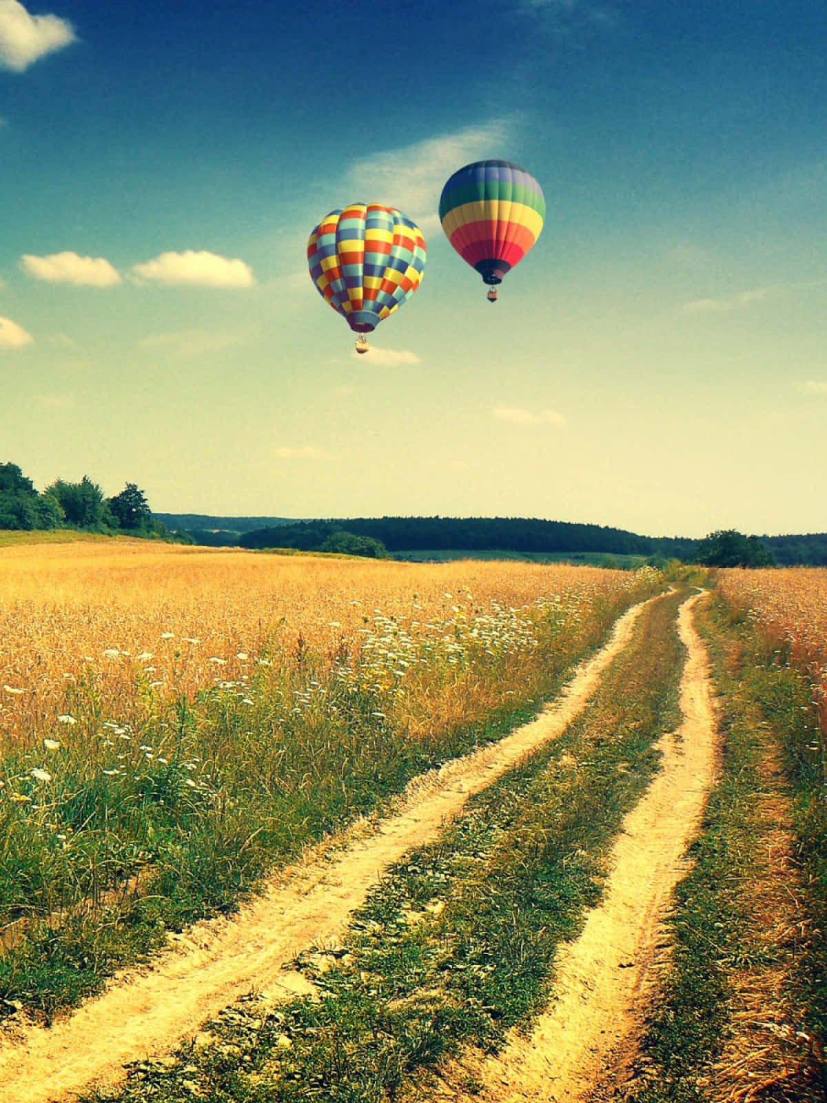 Ballonhintergrundheißluftballons Schweben Über Einem Feld