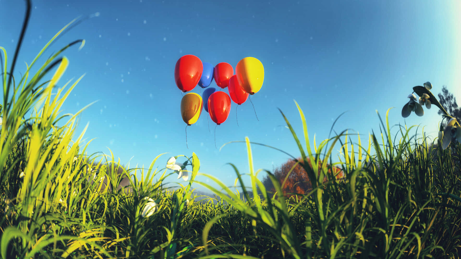 Download Balloons Over Meadow Sunny Sky Wallpaper | Wallpapers.com