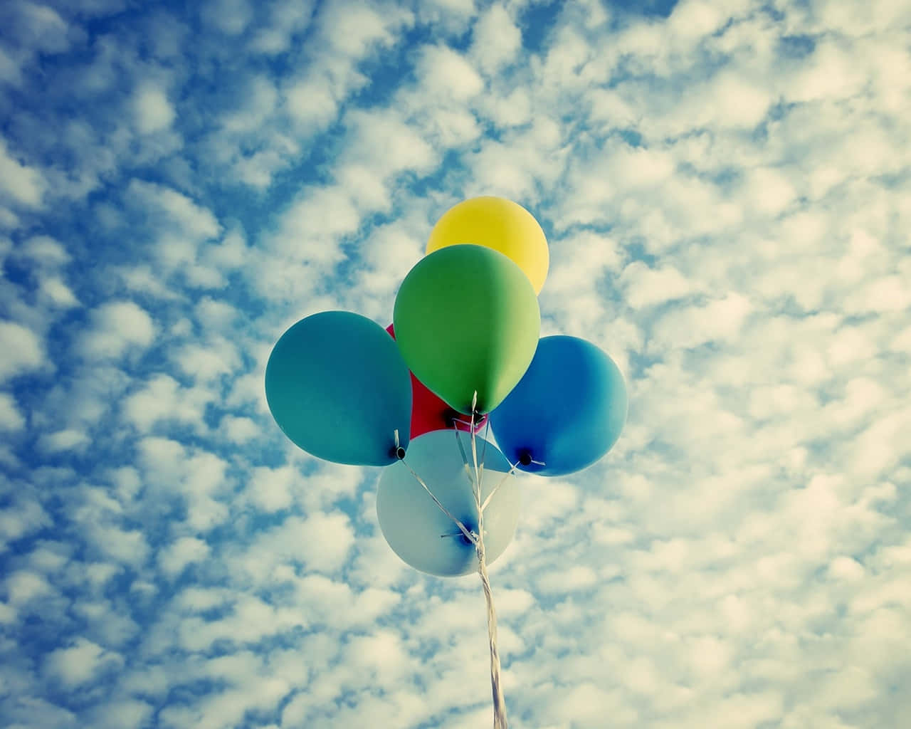 Delightful Balloons Picture