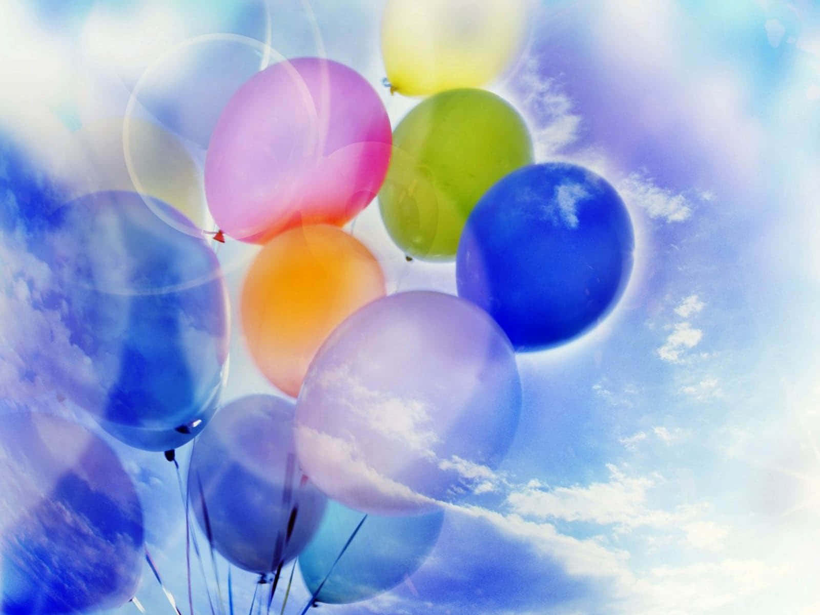Helium Balloons Picture