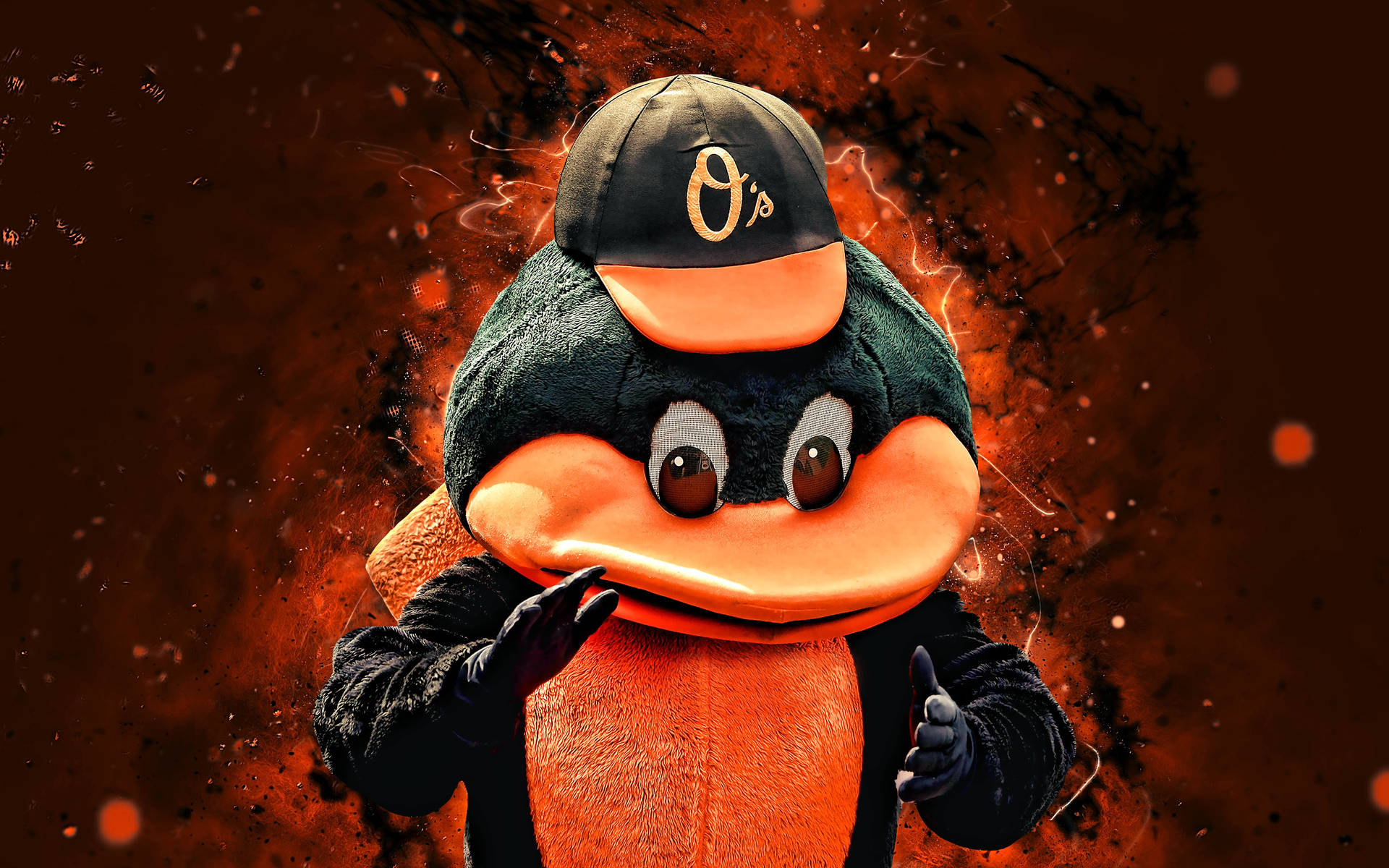 Mascotade Pájaro De Los Baltimore Orioles Fondo de pantalla