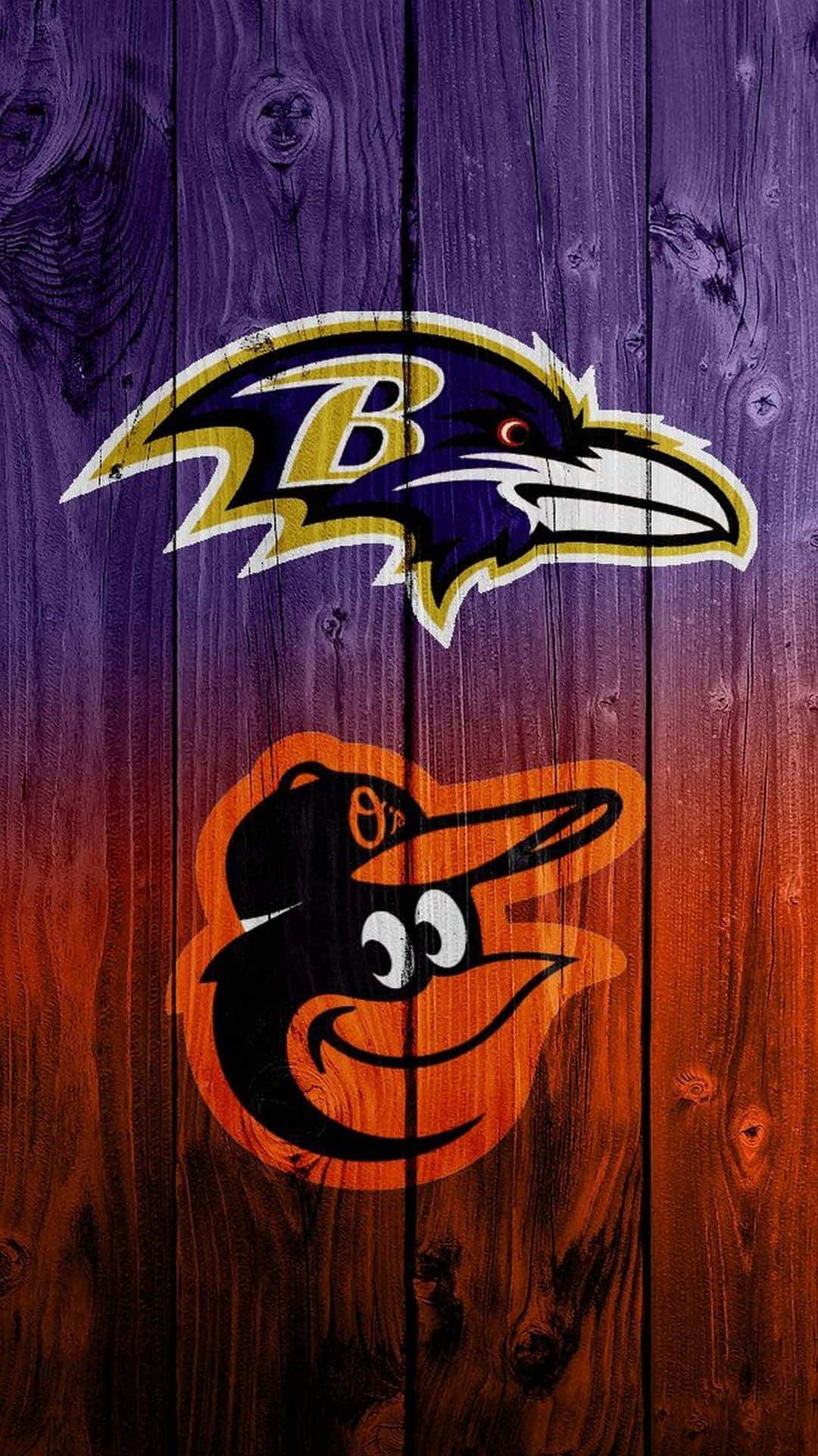 Supporting the Baltimore Ravens