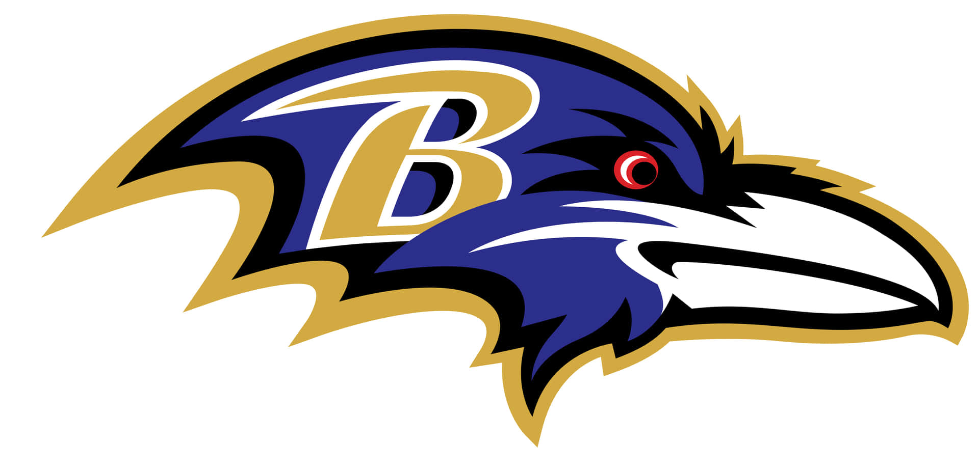 Feeling the Ravens Pride!