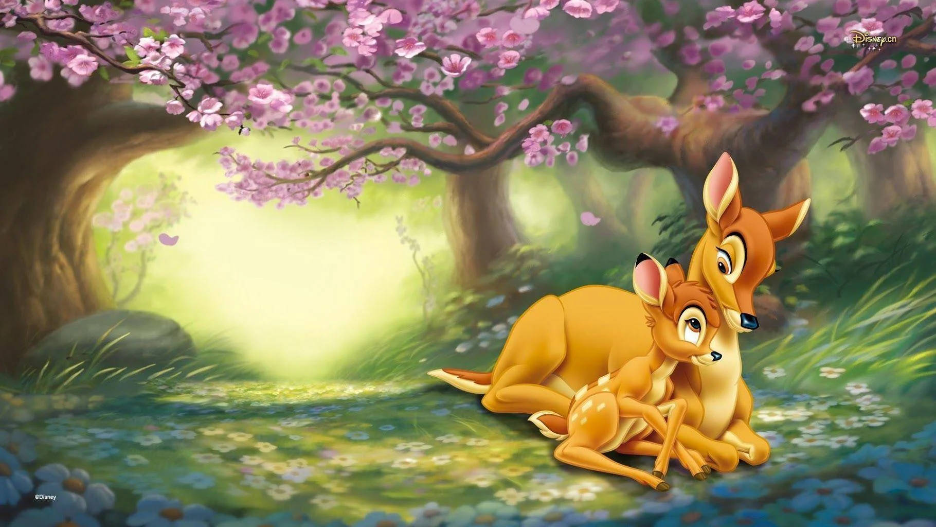 Bambi And Her Mother Deer Background