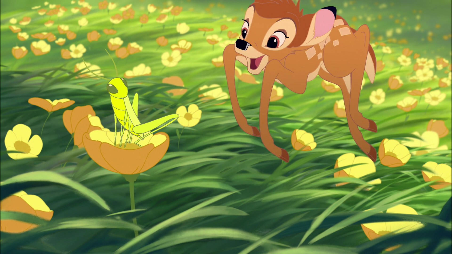 Bambi In Yellow Flower Field