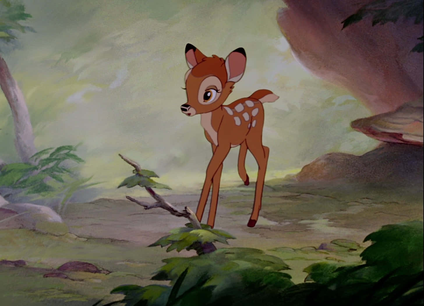 Bambi Finds Home in the Forest