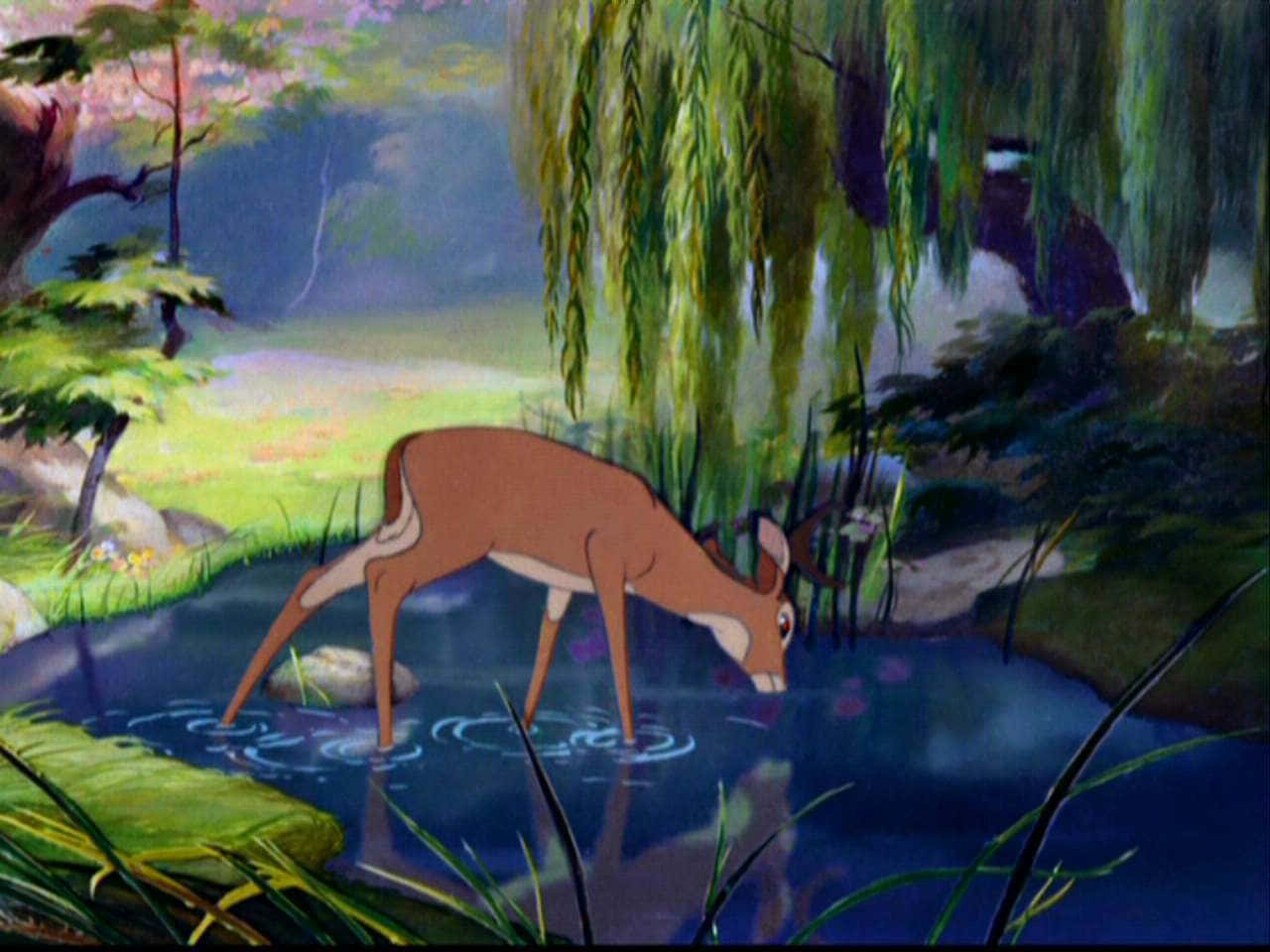 Bambi,den Älskade Hjorten Från Disneys Klassiska Film.