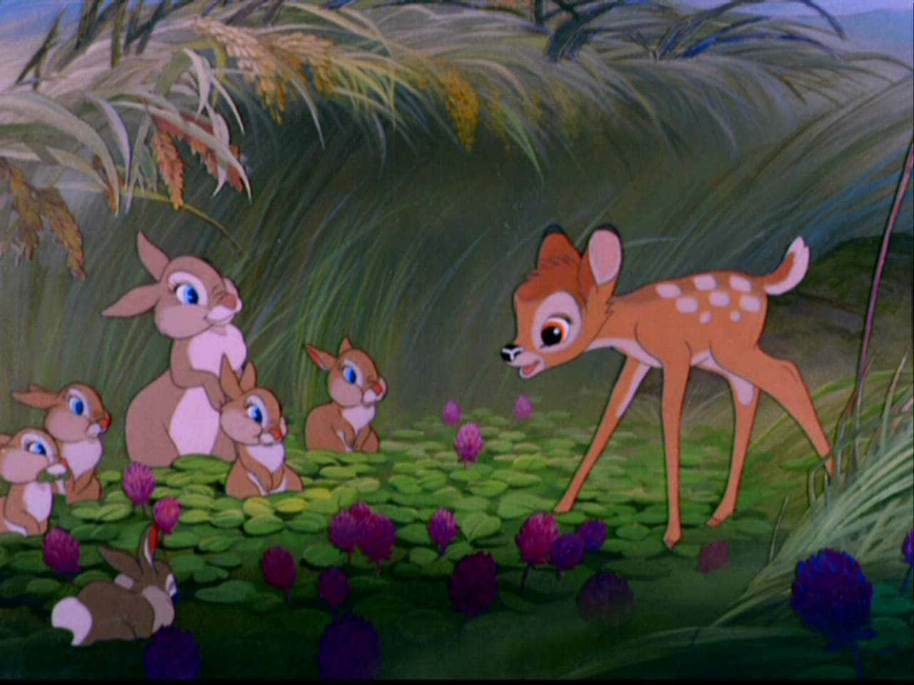 Bambi stares out into a wondrous forest