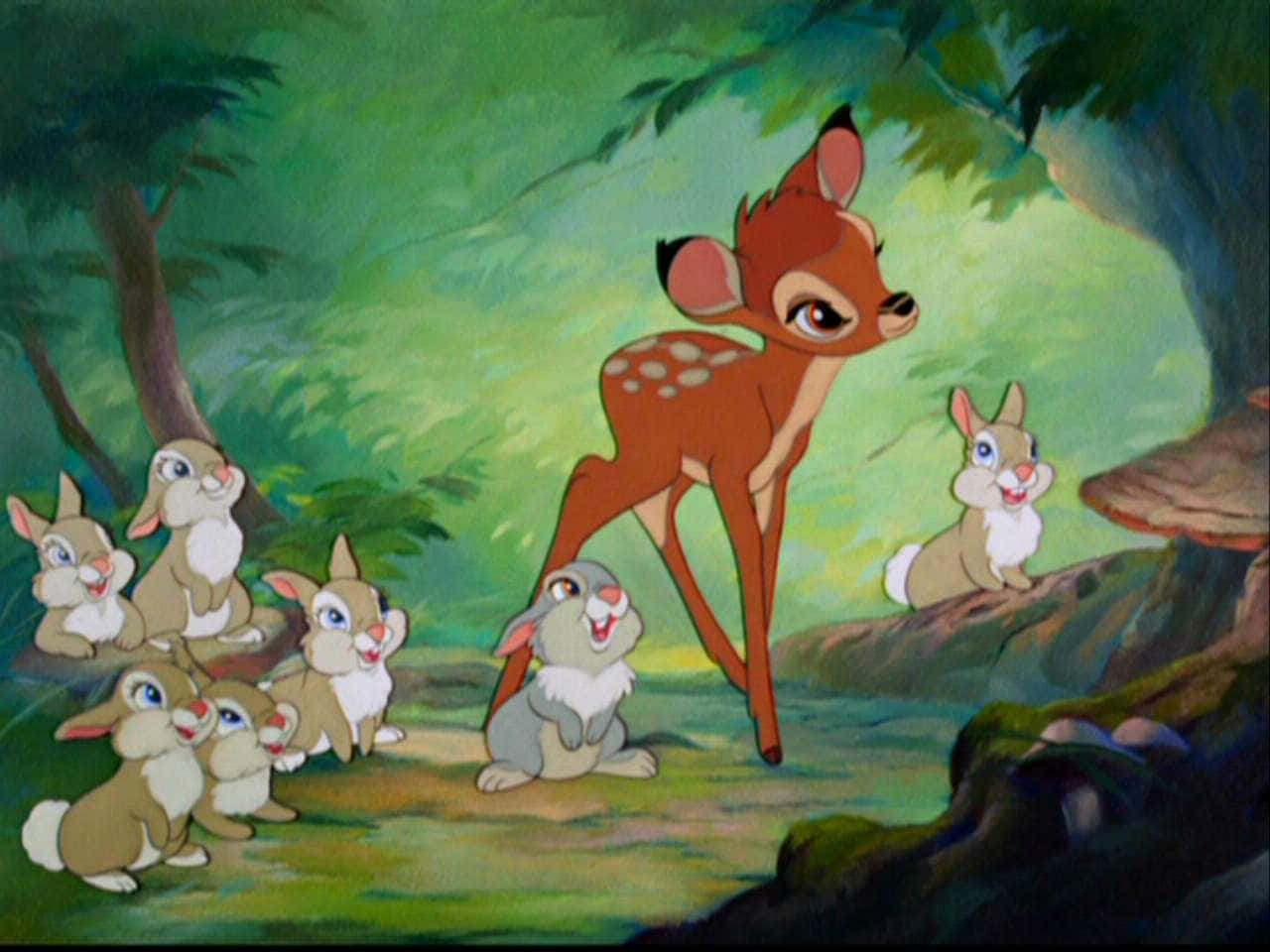 Bambi looks up in wonder at the beauty of the forest.