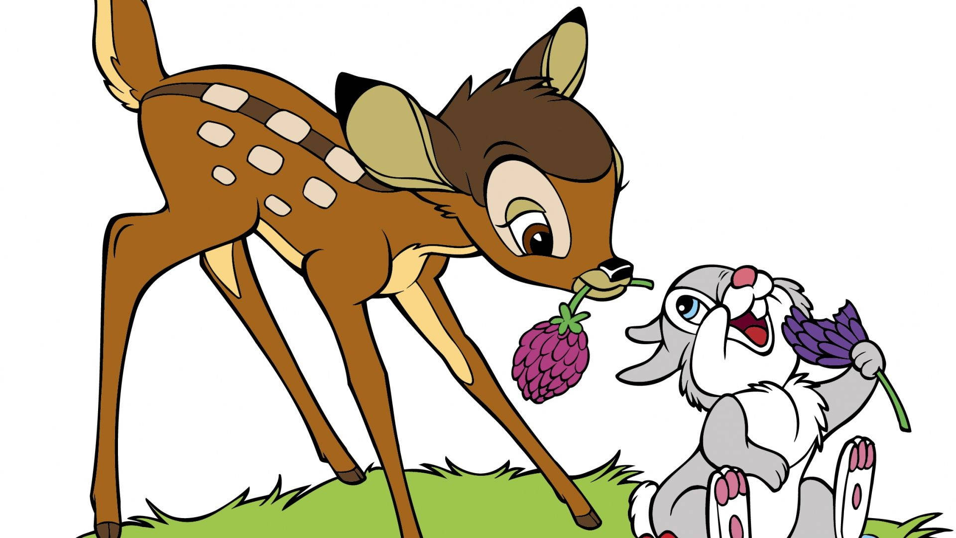 Bambi & Thumper In Grape Farm Background