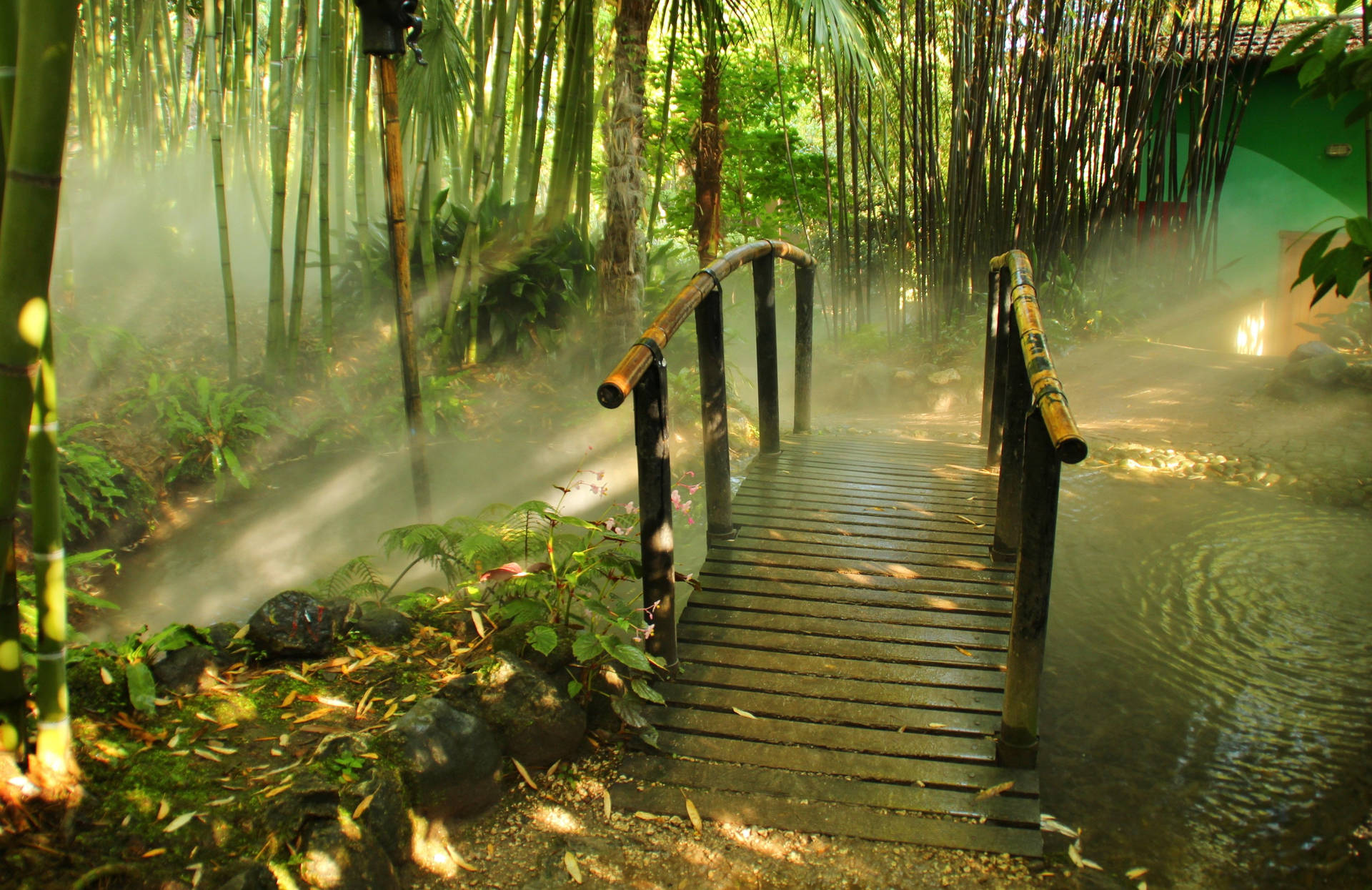 Bamboo 4k Forest Garden With Bridge