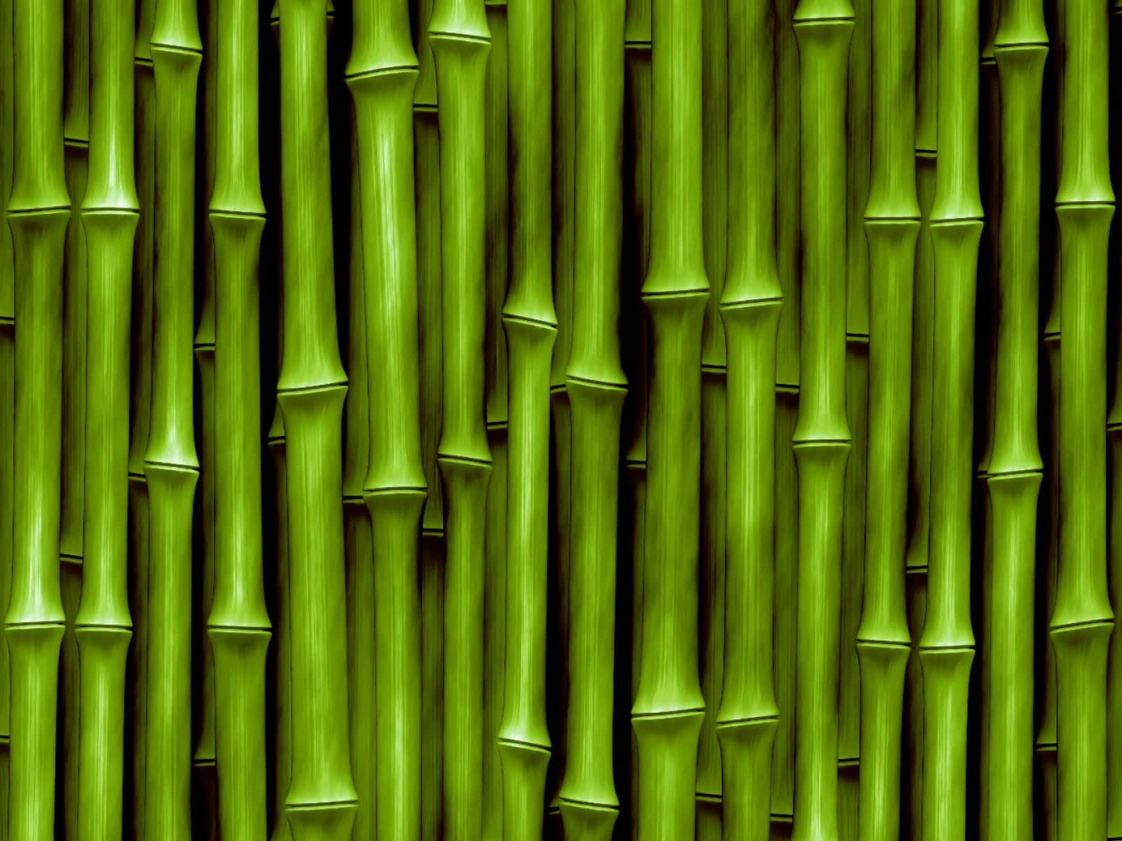 Bamboostilk Tapet - Kunsttryk Af Bambus Stilk Tapet