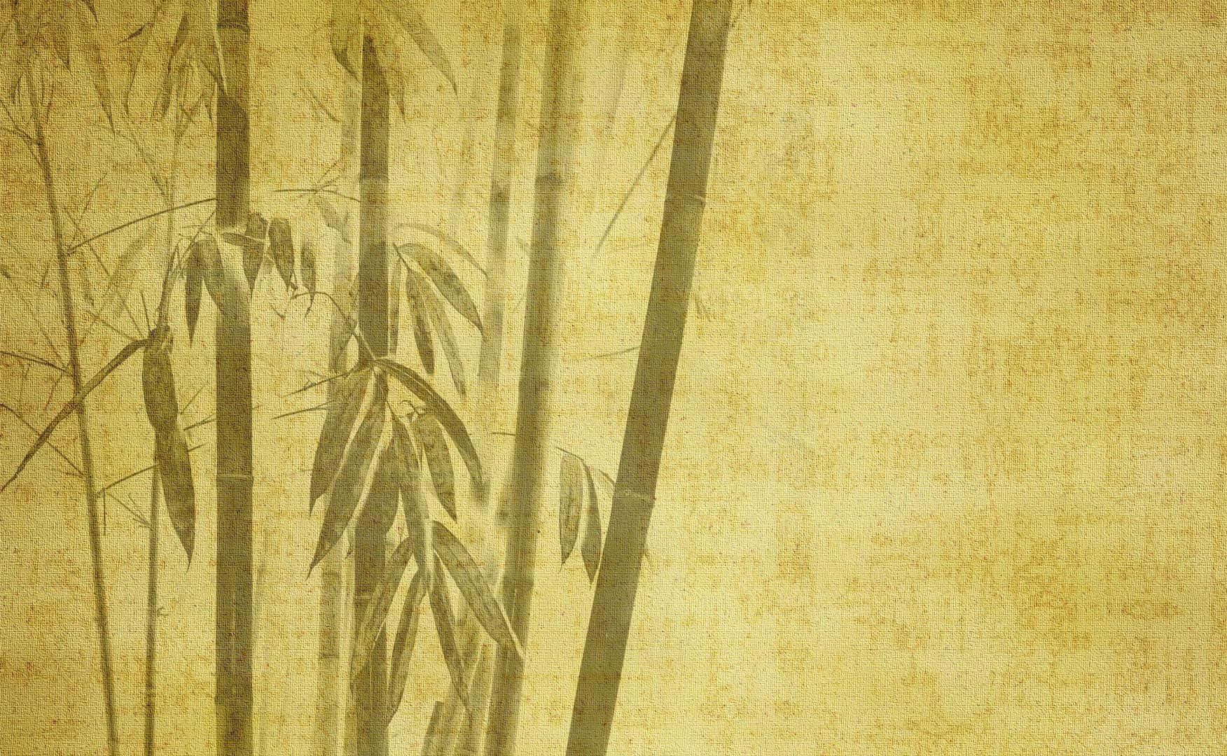 Enljust Grön Bambuskog I Naturen
